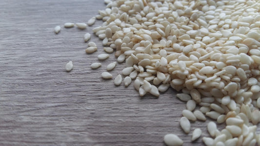 How does Sesamin Help us Sleep?