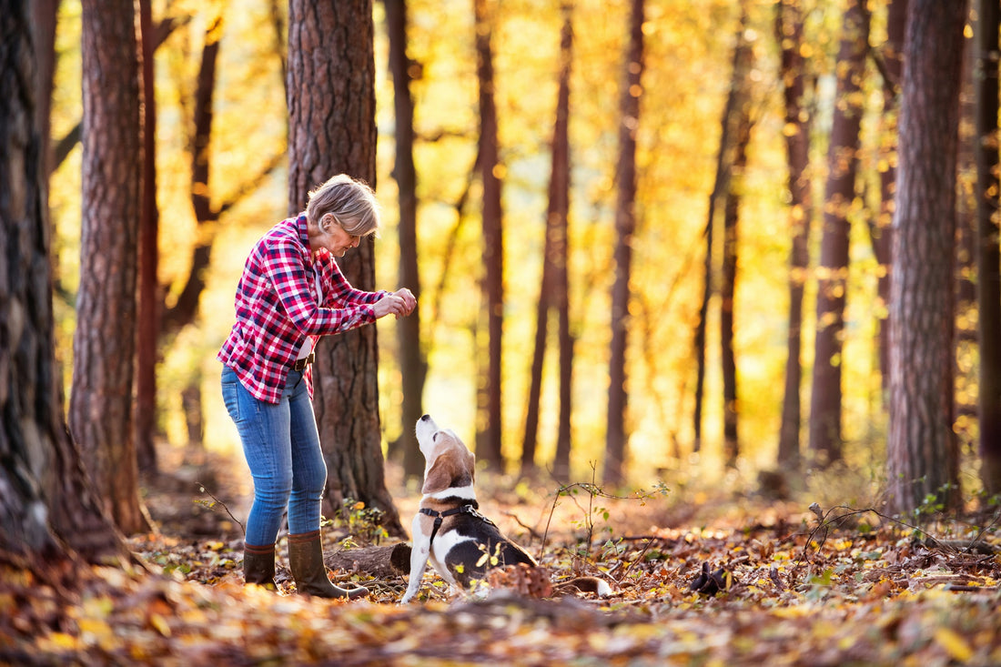 Managing Hot Flashes: The Best Menopause Relief Tips for Women 50+