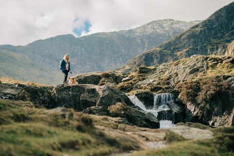 How to Maintain Balanced Energy Levels Throughout the Day