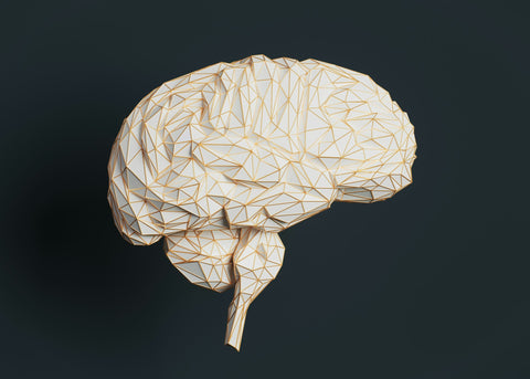 How to Improve Brain Health: Diet Tips for Better Mental Function