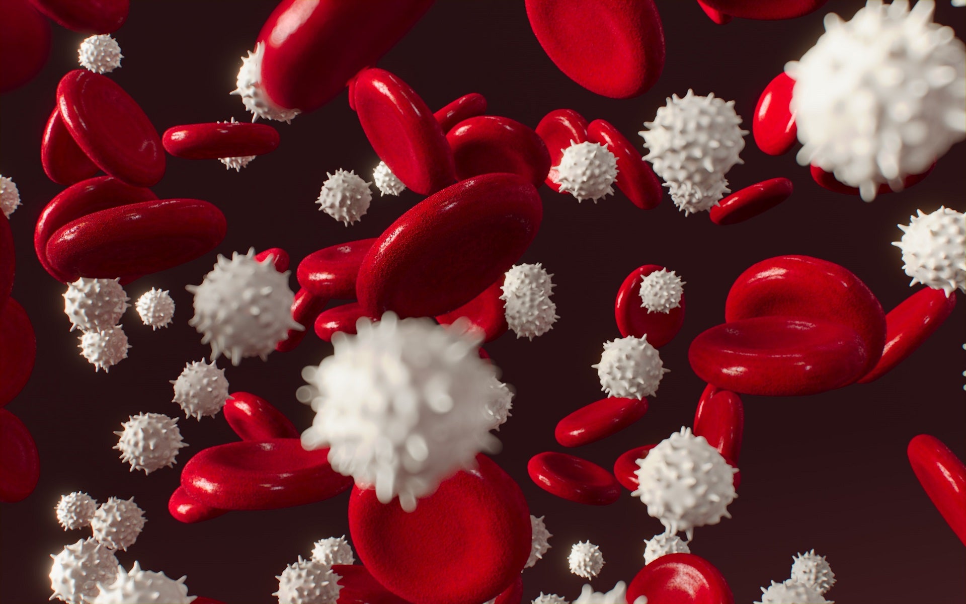 Some Facts You Should Know About Immune Health – Zenkgo