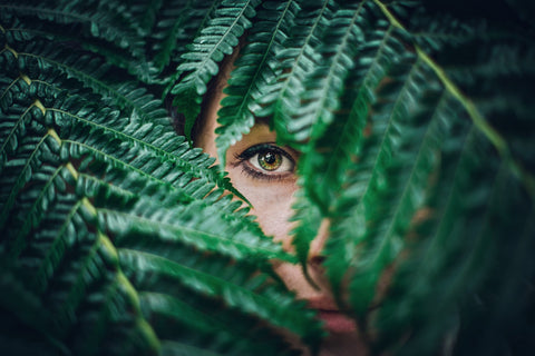 Essential Tips for Maintaining Optimal Eye Health